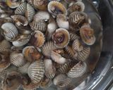 Foto langkah ke 2 dari resep Kerang darah tumis pedas.