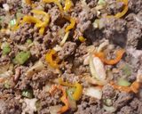 A picture of step 3 of Cazuela superior de la estufa, Stovetop Casserole.