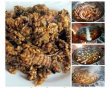 Foto del paso 10 de la receta Arroz de Galeras y Alcachofas en fuego de leña
