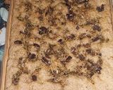 Foto del paso 13 de la receta: Focaccia Integral