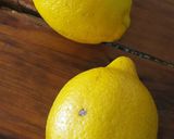 Foto del paso 3 de la receta: Galletitas de Limón y Vainilla