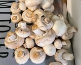 Une image de l'étape 19 de Gratin de fenouil aux champignons, tomates, mozzarella et crème de parmesan.