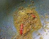 খিচুড়ি (khichuri recipe in Bengali) রেসিপি ধাপ - 4 ছবি