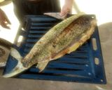 Foto del paso 5 de la receta: Pescado al horno