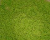 Foto langkah ke 3 dari resep Kue Putu Bumbung (Pakai Cetakan Daun).
