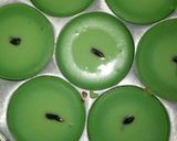 Foto langkah ke 6 dari resep Kue Lumpur Ekonomis.