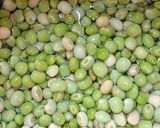 લીલી તુવેર ના ઢેકરા (Lili Tuver Dhekra Recipe In Gujarati) રેસીપી સ્ટેપ1ફોટો