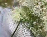 A picture of step 4 of GF Elderflower fritters.