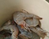 Foto langkah ke 1 dari resep Udang Saos Mentega.