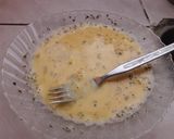 Foto del paso 1 de la receta: Milanesas de Zapallito