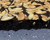 Foto langkah ke 10 dari resep Brownies ambyar.