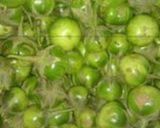 Foto langkah ke 1 dari resep Oseng pedas manis terong bulat dan teri.