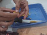 Wafer roll coockies