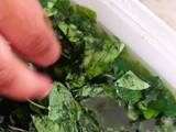 Cincau