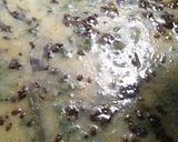 સરગવાની કઢી (Saragva Kadhi Recipe In Gujarati) રેસીપી સ્ટેપ3ફોટો