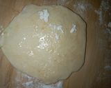 A picture of step 9 of My samosa wrap/sheets.