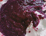 जामुन की आइसक्रीम(jamun ki ice cream recipe in hindi) रेसिपी चरण 5 फोटो