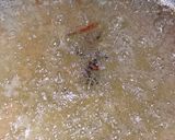 A picture of step 2 of Andaai Allu gravy.