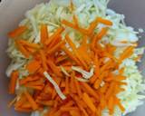 Cabbage and carrots veg recipe step 2 photo