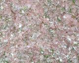 Pieczeń wieprzowo - drobiowa krok przepisu 5 zdjęcie