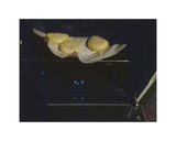 Foto del paso 19 de la receta: Bollitos rellenos de choriqueso
