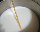 Foto del paso 1 de la receta: Yogurt griego casero