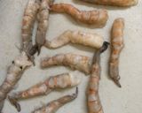 Foto langkah ke 1 dari resep Tempura Udang Ebi Furai.