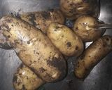 Foto del paso 3 de la receta: Chancho jabalí y papas a las brazas