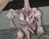 Foto del paso 4 de la receta: Pollo arrollado