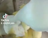 A picture of step 2 of Pineapple smoothie.