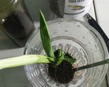 Foto langkah ke 3 dari resep Wedang jahe chia seed.