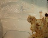 Foto del paso 4 de la receta Tiramisú de Panettone