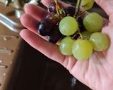 Foto del paso 10 de la receta 57. Flan de queso con uvas