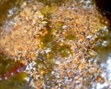 টক পালং এর চাটনি (tok palong chutney recipe in Bengali) রেসিপির ধাপ 5 ছবি
