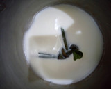 Foto langkah ke 8 dari resep Bubur Kacang Ijo.