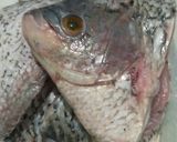 Foto langkah ke 1 dari resep Gulai Ikan Kakap.