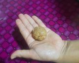 عکس مرحله 6 از دستور کله گنجشکی