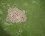 A picture of step 2 of Palak cauliflower stem soup.