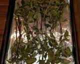 Mike's Oven Dried Herbs recipe step 3 photo