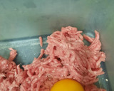 Foto del paso 1 de la receta: Albóndigas en salsa