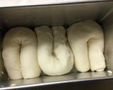 Foto del passaggio 5 della ricetta Pan carré, pain de mie o pullman bread rettangolare