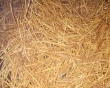 A picture of step 1 of Brown pasta.