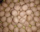 A tökéletes sajtostallér (számunkra) 🧀 recept fázis 4 fotója
