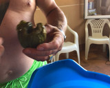 Foto del paso 9 de la receta: Berenjenas tipo de Almagro