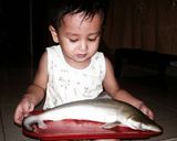 Foto langkah ke 1 dari resep Pindang ikan hiu seger asem miner.