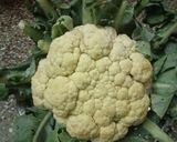 காலிஃப்ளவர் பச்சை பட்டாணி மசாலா(cauliflower green peas masala)👌👌 ரெசிபி ஸ்டேப் 1 புகைப்படம்