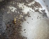 A picture of step 1 of Immunity boosting Masala Chai.