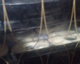 Foto del paso 3 de la receta: Donas con baño de nieve!!!⛄⛄❄