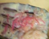 A picture of step 3 of Labe shirin.