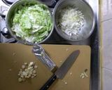 人生好南瓜白菜濃湯的食譜步驟1照片